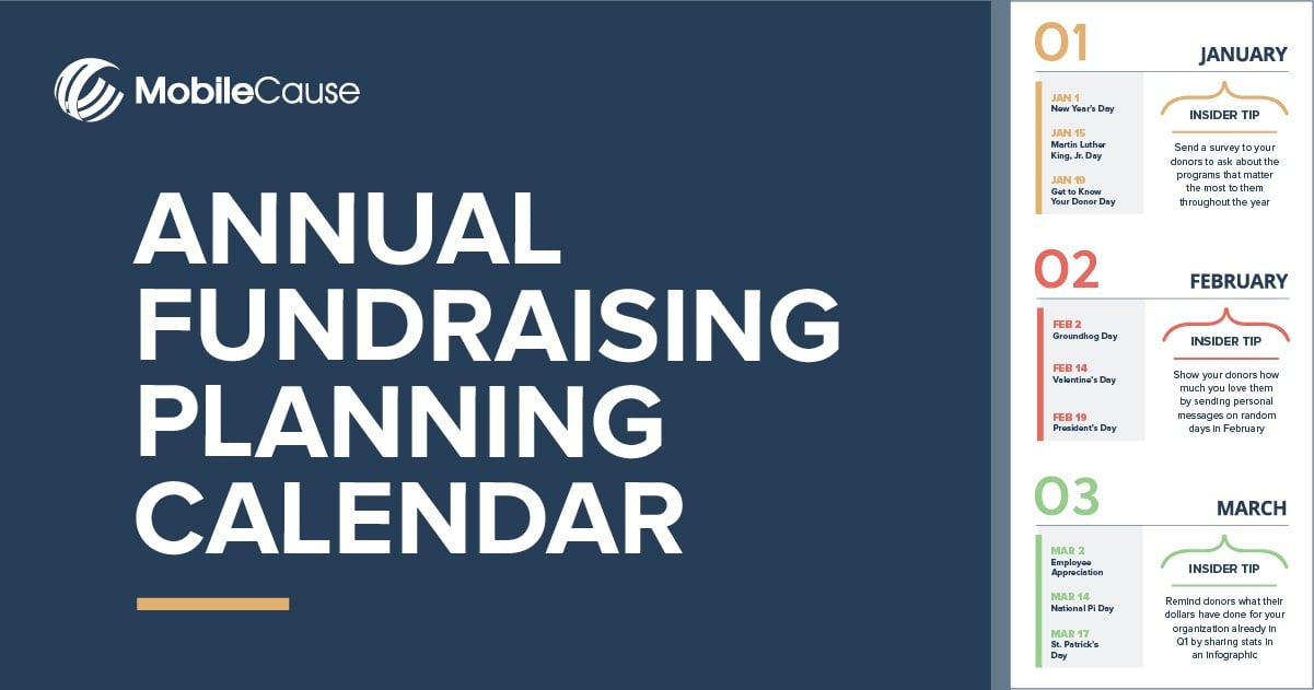 Annual Fundraising Plan Infographic